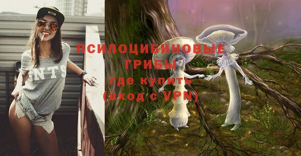 бошки Волоколамск