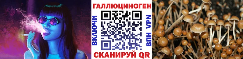 Псилоцибиновые грибы MAGIC MUSHROOMS  как найти наркотики  гидра рабочий сайт  Гаврилов Посад 